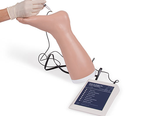 Simulateur d'infiltrations pied et cheville – Image 2