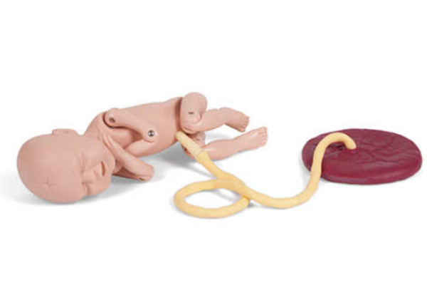 Prompt Flex - Bassin d'accouchement modèle standard – Image 6