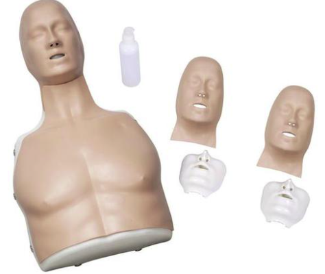 CRP - BASIC Billy – Image 2