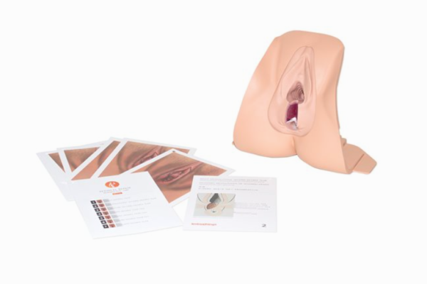 Simulateur de réparation sphinctérienne