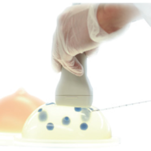 Simulateur de biopsie mammaire échoguidé