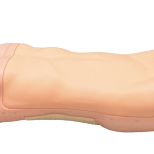 Simulateur d’examen abdominal - MW43