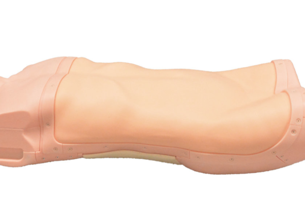Simulateur d’examen abdominal - MW43