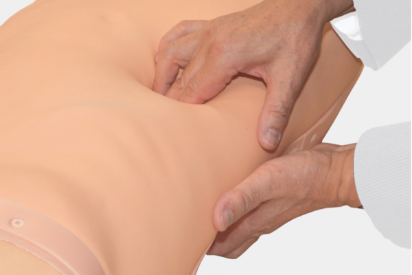 Simulateur d’examen abdominal - MW43 – Image 2