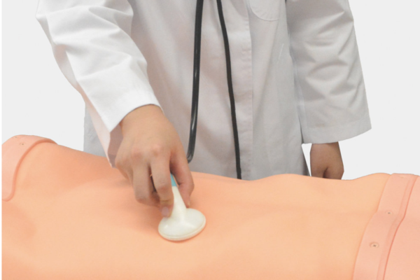 Simulateur d’examen abdominal - MW43 – Image 3