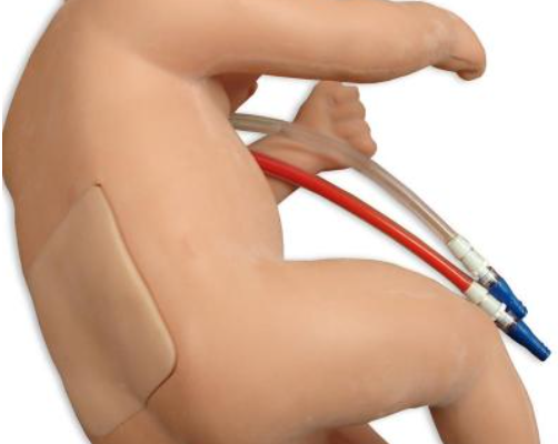 Simulateur de ponction lombaire - pack pédiatrique – Image 5