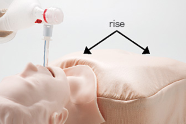 M167 - Airway Management Trainer – Image 7