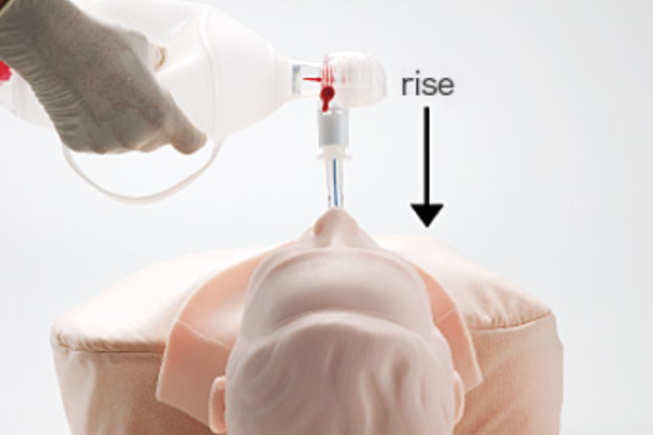 M167 - Airway Management Trainer – Image 8