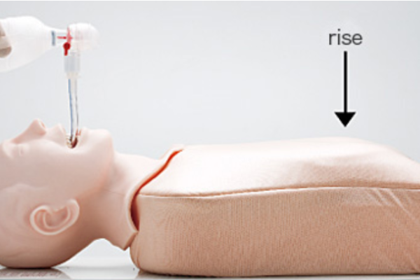 M167 - Airway Management Trainer – Image 9