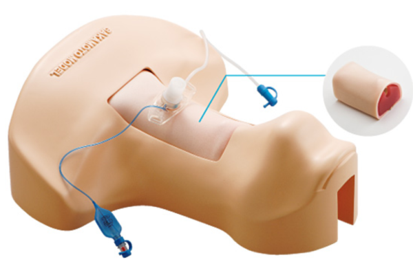 M172 - Simulateur de trachéotomie