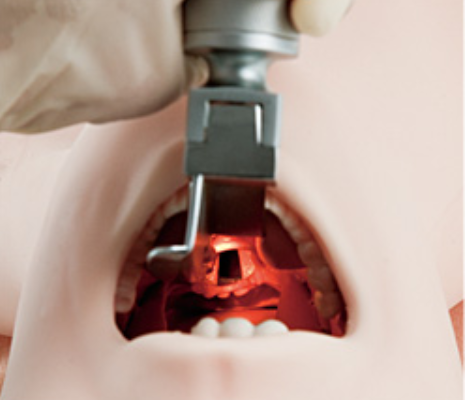 M167 - Airway Management Trainer – Image 3