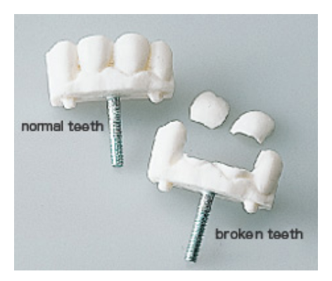 M167 - Airway Management Trainer – Image 4
