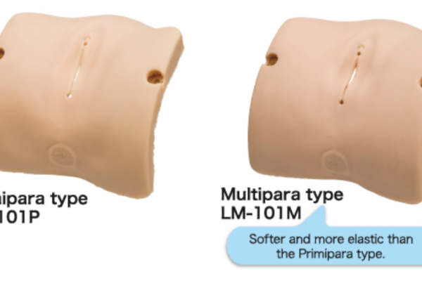 LM-101 - Modèles obstétriques-vulva II