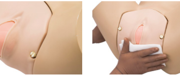 LM-101 - Modèles obstétriques-vulva II – Image 3