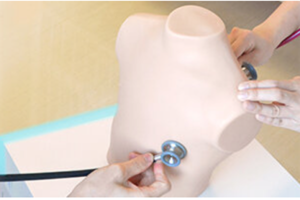 Simulateur d’auscultation pulmonaire pédiatrique - MW57 – Image 3