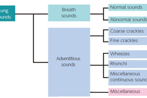 Simulateur d’auscultation pulmonaire pédiatrique - MW57 – Image 6