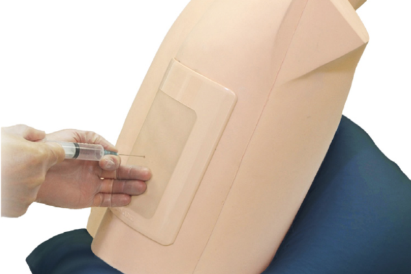 Simulateur de Thoracentèse guidé par ultrasons - MW4 - MW4A