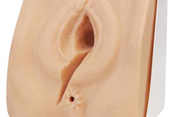 Simulateur en suture d'épisiotomie / réparation périnéale