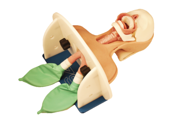 Tête d’intubation réaliste - pédiatrique – Image 4