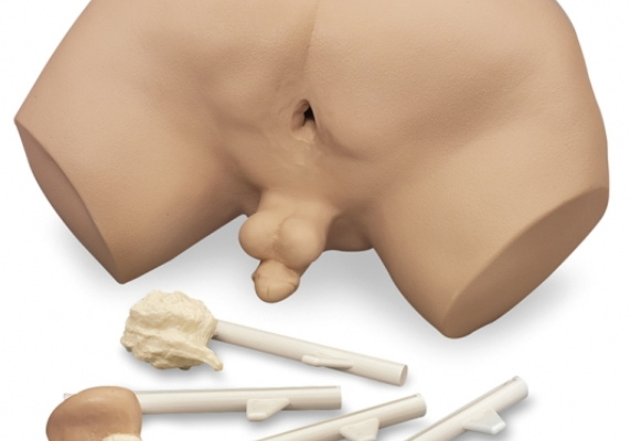 Simulateur d'examen de la prostate