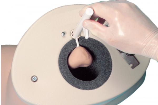 Simulateur d'examen de la prostate – Image 2