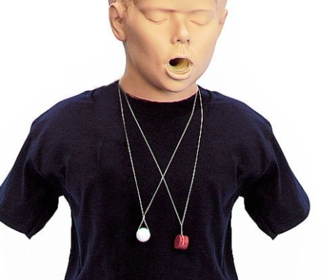 Mannequin de désobstruction des voies aériennes – Image 5