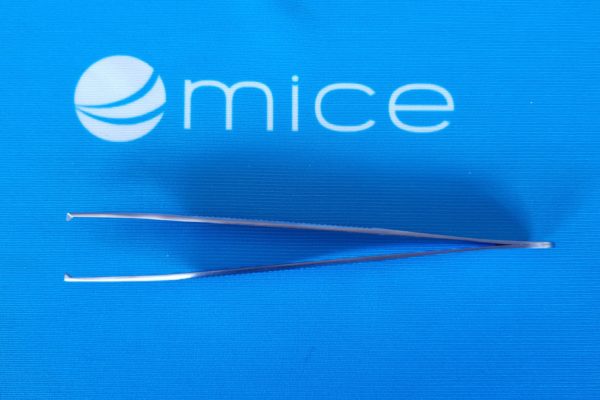 Pince Adson A/G 12cm